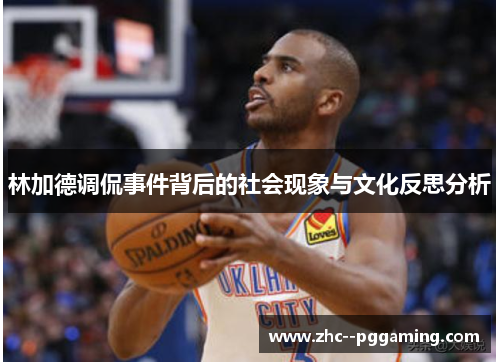 林加德调侃事件背后的社会现象与文化反思分析 林加德调侃事件背后的社会现象与文化反思分析