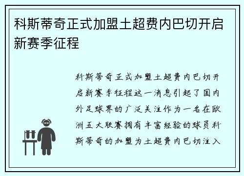 科斯蒂奇正式加盟土超费内巴切开启新赛季征程