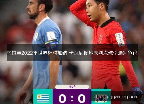 乌拉圭2022年世界杯对加纳 卡瓦尼倒地未判点球引漏判争论 乌拉圭2022年世界杯对加纳 卡瓦尼倒地未判点球引漏判争论